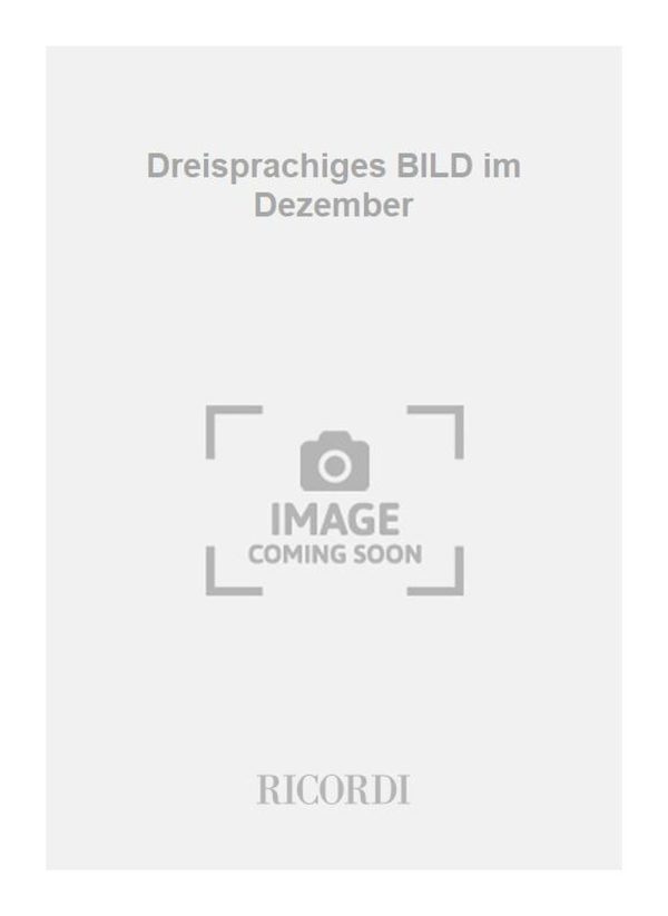 Dreisprachiges BILD im Dezember